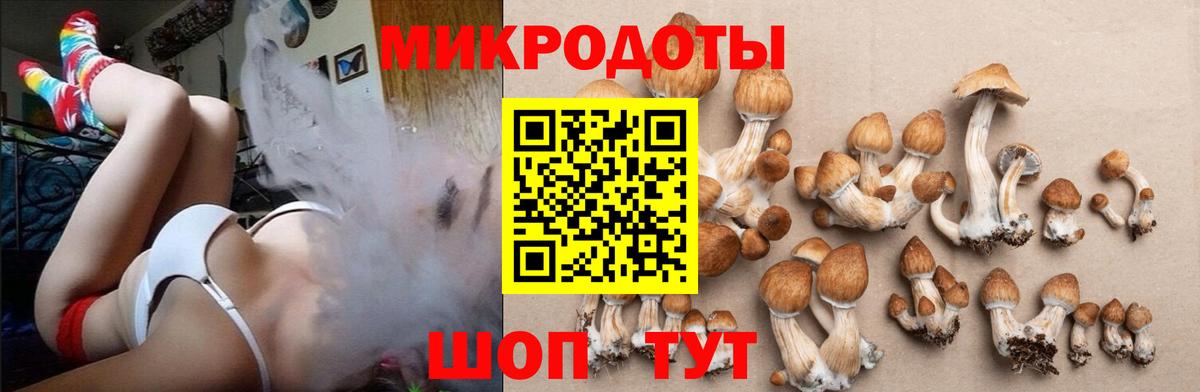 Карталы  Псилоцибиновые грибы прущие грибы  Вход с VPN 