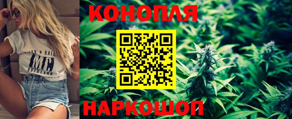 Марихуана сатива  Вход с VPN  Марихуана семена  Каннабис Ganja  Карталы 
